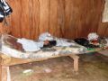 Grupo dormia em camas improvisadas sobre tbuas de madeira sob cho de terra batida