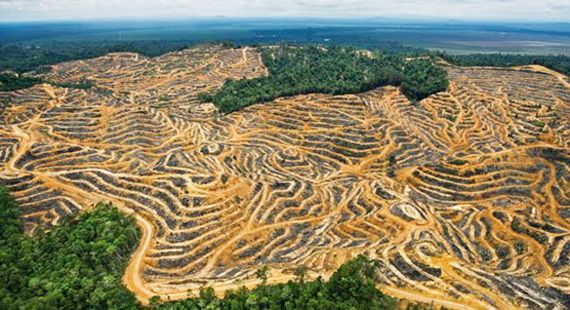 AGU cobra R$ 147 milhes por desmatamento da Terra Indgena Maraiwatsede