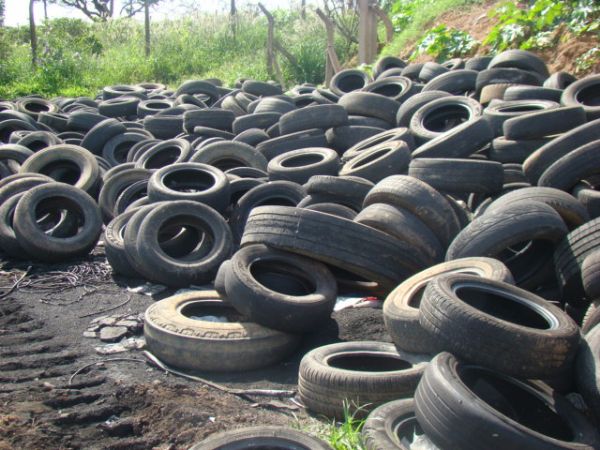 Justia obriga indstrias a recolherem pneus abandonados que abrigavam focos de Aedes Aegypti
