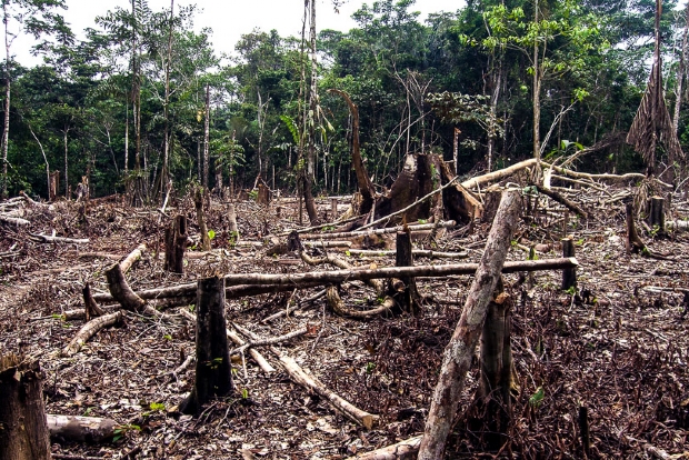Justia bloqueia R$ 407 milhes de prefeito e mais sete por fraudes que promoveram desmatamento