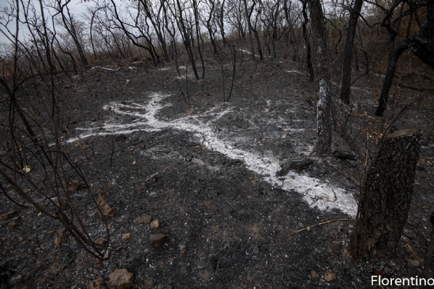MPF instaura procedimento e pede informaes sobre queimadas em Mato Grosso