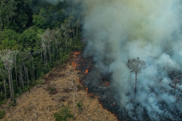 MPF aponta que 170 mil hectares ilegalmente desmatados apresentaram focos de calor este ano