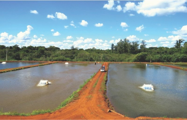 MPE pede interdio de 49 tanques de piscicultura instalados em rea de preservao