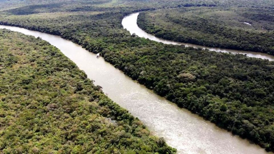 Grupo cobra R$ 81 milhes do estado por 30 mil hectares que viraram Terra Indgena