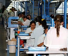 MPF processa Samsung em R$ 250 milhões por trabalho precário em fábrica