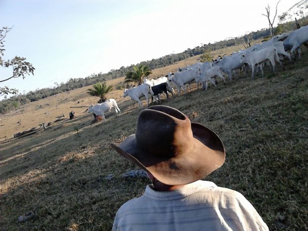 Produtor rural na Fazenda Boi Gordo.