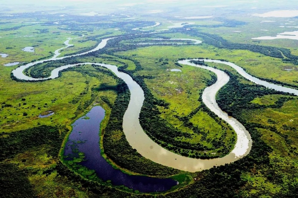 TJ suspende ao que pretende derrubar lei sobre flexibilizao de proteo do Pantanal