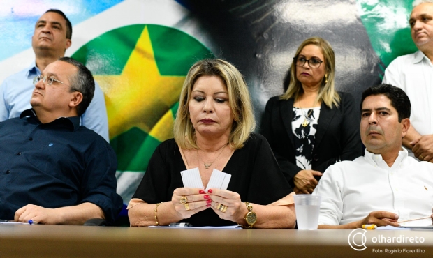 MP representa contra Selma por distribuio de adesivos em evento pr-Bolsonaro