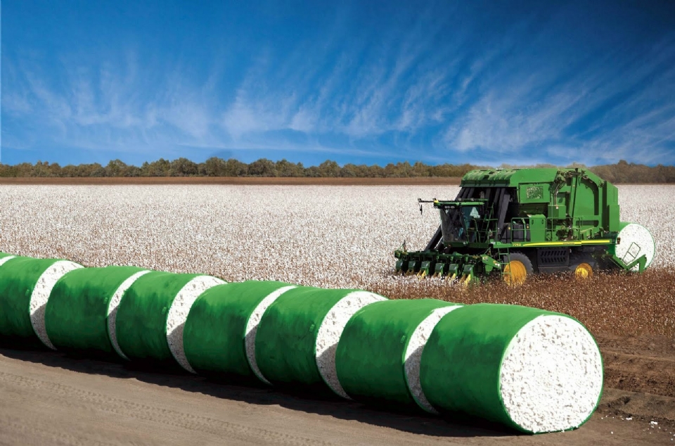 Produtores em recuperação de R$ 226 milhões têm safra de algodão apreendida por 'pirataria' de tecnologia de sementes