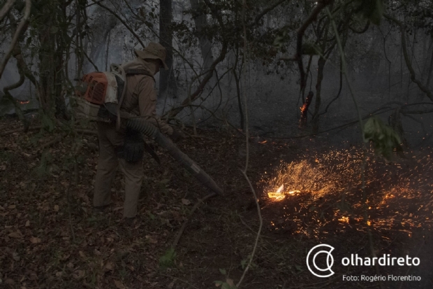 MPF pede que Ibama identifique origem dos incndios no Pantanal em Mato Grosso