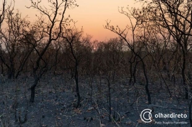 Fazendeiro  multado em R$ 10,4 milhes por queimada no Pantanal