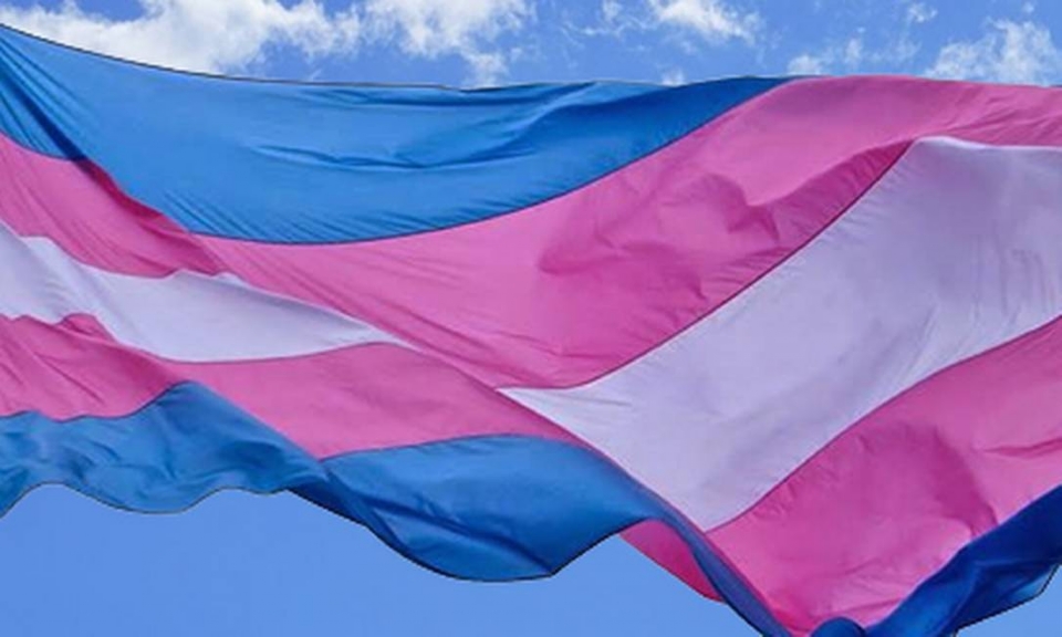 TJ refora que pessoas trans podem trocar nome e gnero em documentos sem ao judicial