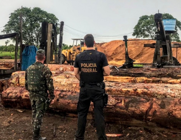 MPF denuncia envolvidos em desmatamento ilegal em terra indgena