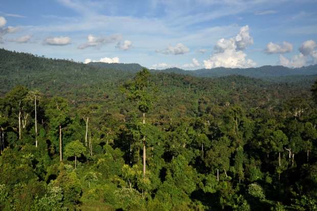 Tribunal no reconhece direito de particulares sob rea de trs mil hectares do Parque Nacional do Juruena