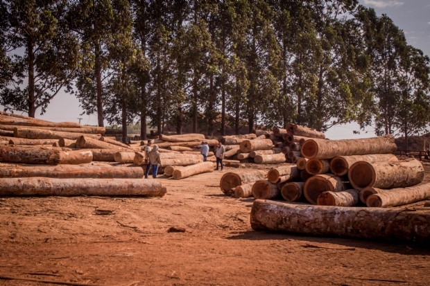 MP notifica Estado para impedir reutilizao de equipamentos de desmatamento