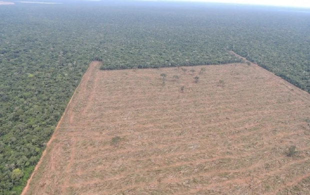 Ministrio Pblico avana na criao do Gaeco Ambiental para combater desmatamento