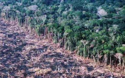 MPF aciona Incra por desmatamento ilegal nos assentamentos do Estado