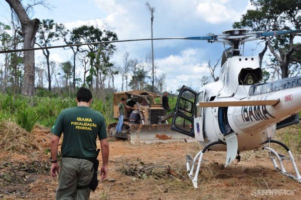 Madeireiras de Mato Grosso recebem multas milionrias por retirar madeira de terra indgena