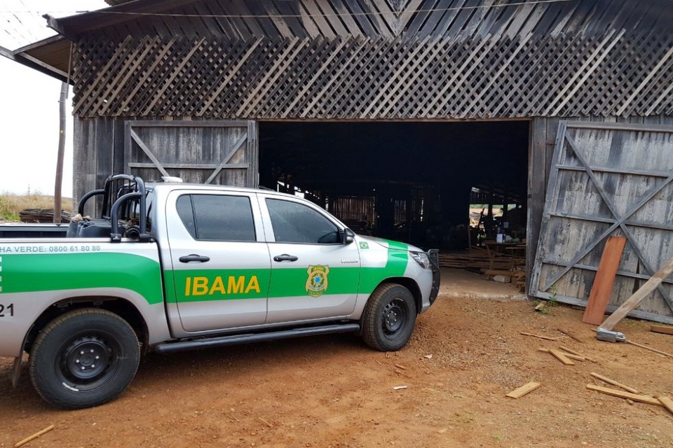 Ibama é acusado de descumprir decisão judicial e manter embargo a mais de 200 madeireiras