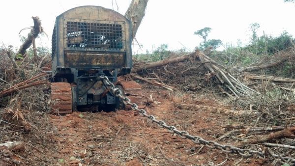 Juiz mantm desmatamento pelo corrento legalizado em MT