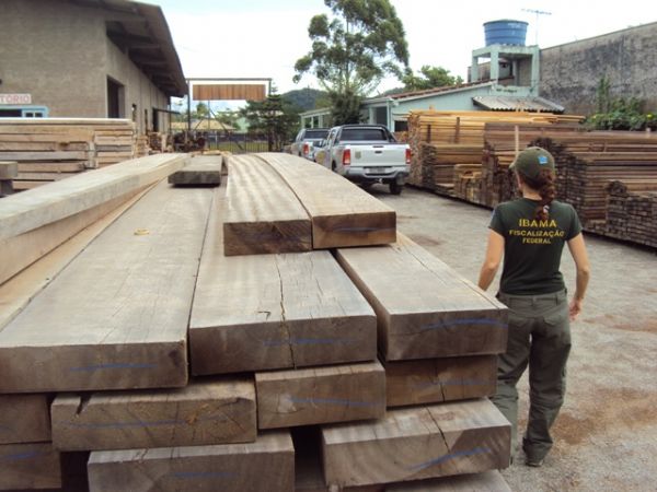 Liminar que liberava madeira transportada sem autorizao do Ibama  derrubada