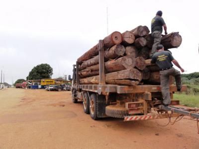 Procuradorias confirmam penas  empresa que transportava madeiras sem autorizao do Ibama