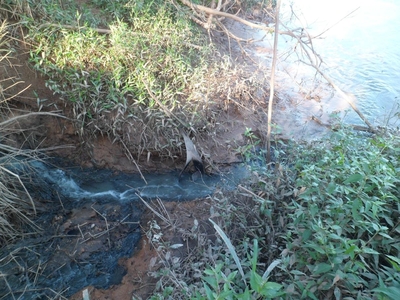 MPF ajuza ao contra concessionria por despejo de esgoto no Rio Araguaia