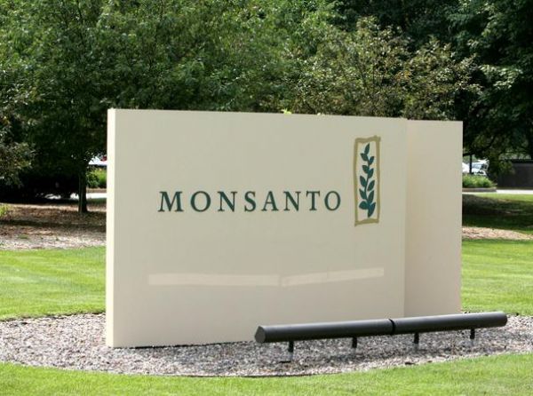 TJ nega segundo recurso  Monsanto e produtores rurais continuam isentos de royalties