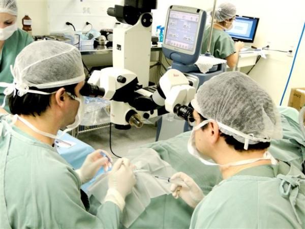 Sindicato deve custear cirurgia oftalmologica de rapaz que feriu olho durante evento