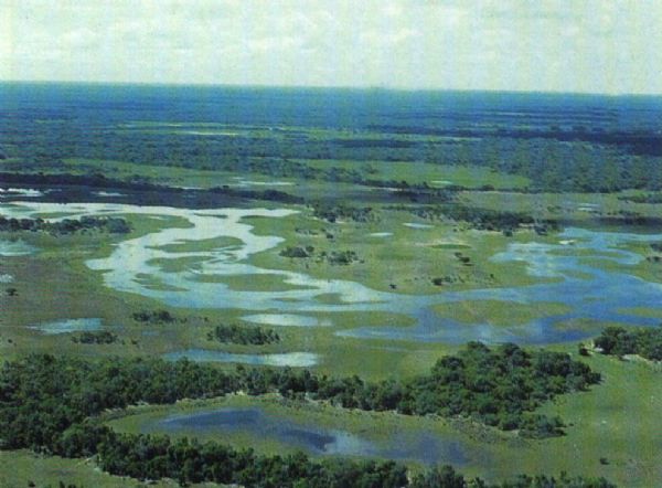 Determinada nova suspenso de hidreltricas no Pantanal