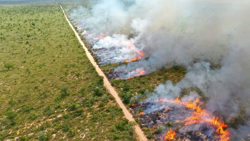 TRF mantm fazendeiro obrigado a pagar multa ao Ibama por queimar rea no autorizada