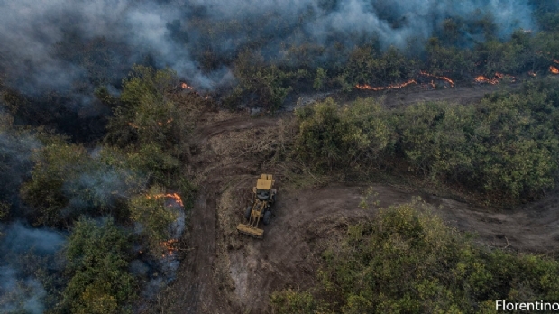 Rede Sustentabilidade aciona MT e outros Estados por queimadas na Amaznia e Pantanal