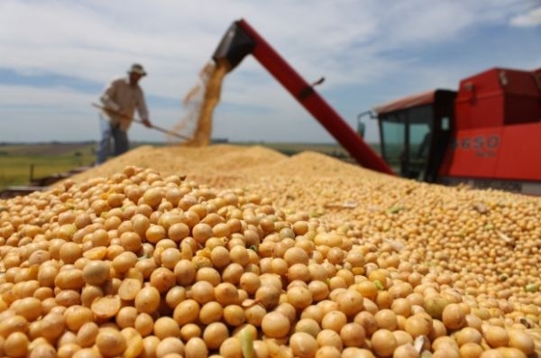Em mais condenaes por pesquisa de soja, produtores so penalizados em R$ 2,1 milhes