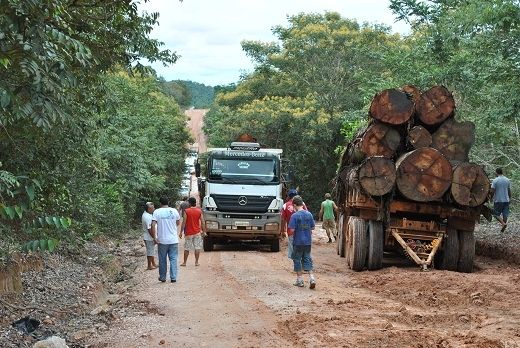 MPF denuncia 5 pessoas por extrao de madeira ilegal em terra indgena